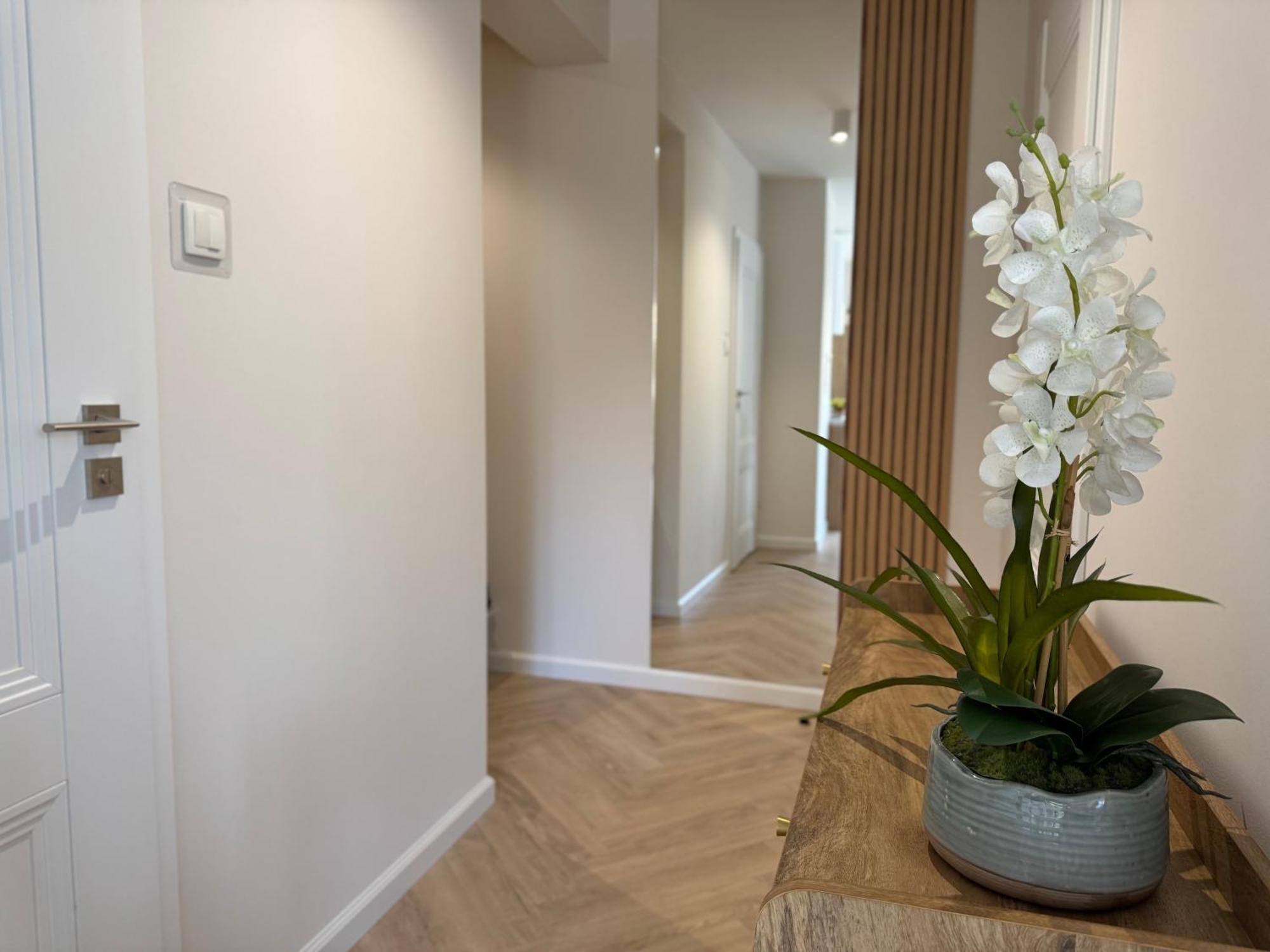 Apartamenty Baltica -Zielone Tarasy Kolobrzeg Bagian luar foto
